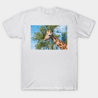 Close up photo of a Rothschild Giraffe head T-Shirt